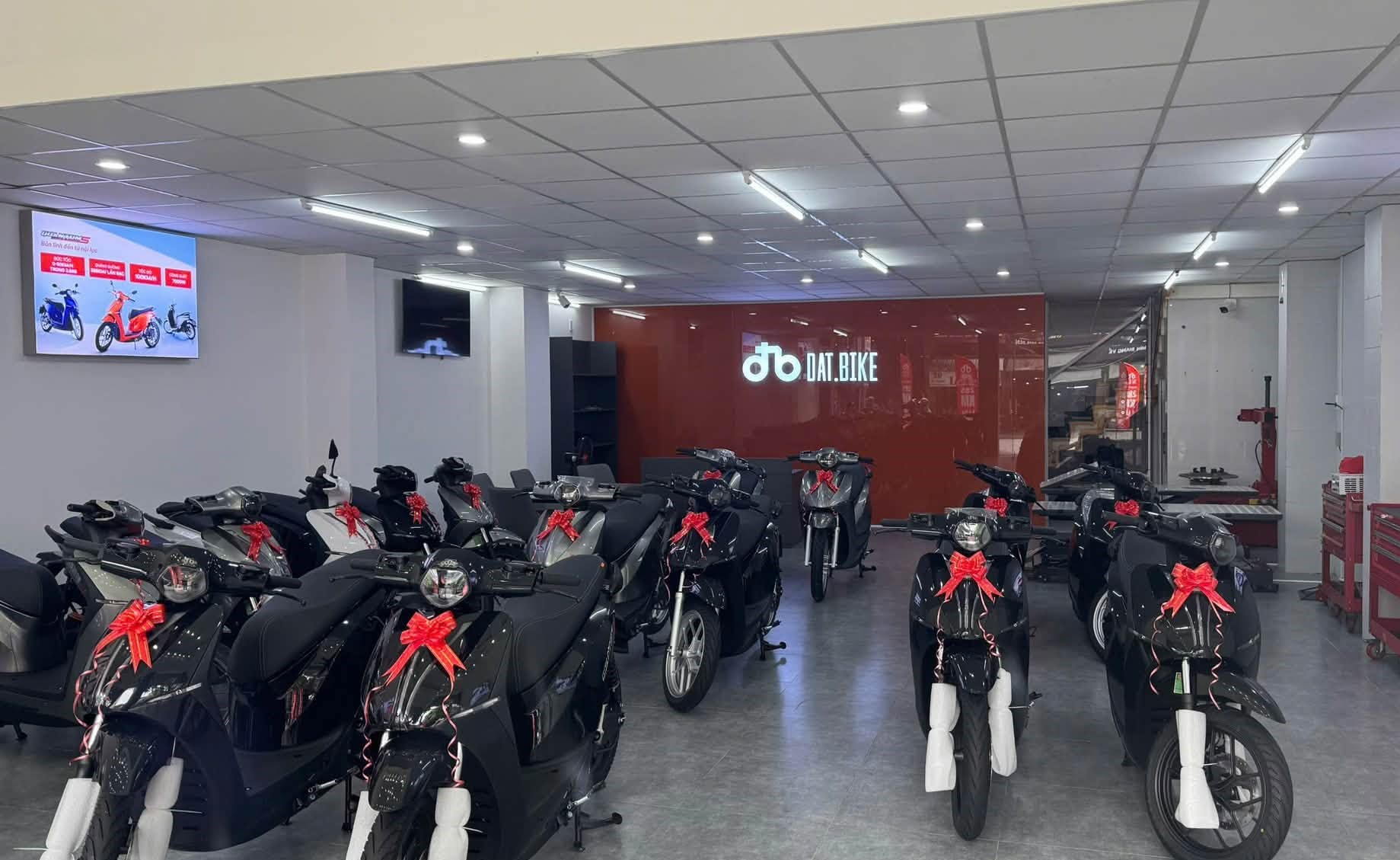 Quang cao Skyled hop den nhet canh logo chu noi den led Datbike 2
